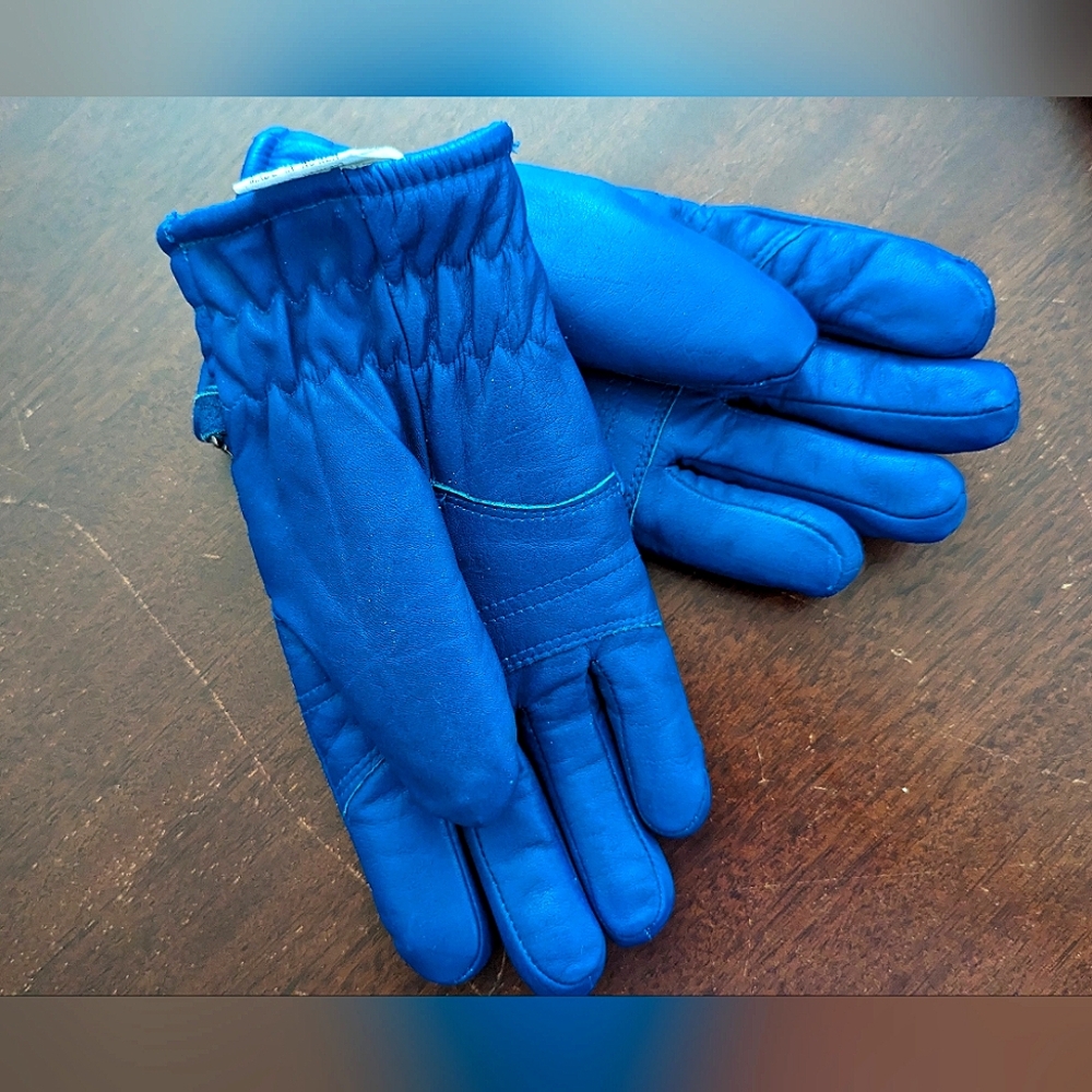 Blue Ski Gloves